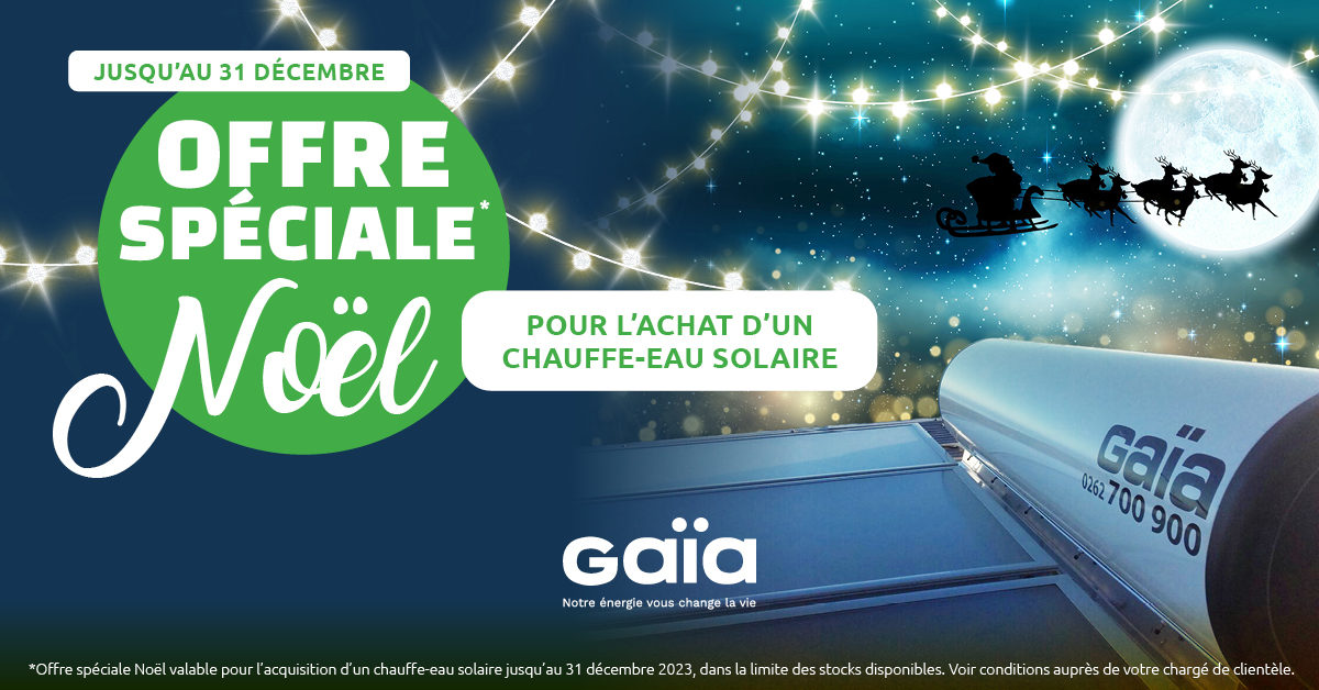 Gaia Noel_1200x628